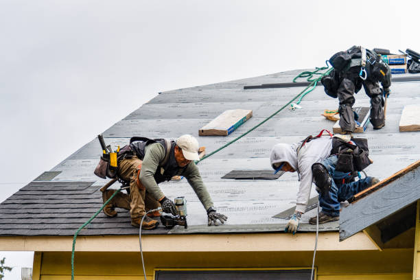 Professional Gutter Installation technician working in North Aurora, IL